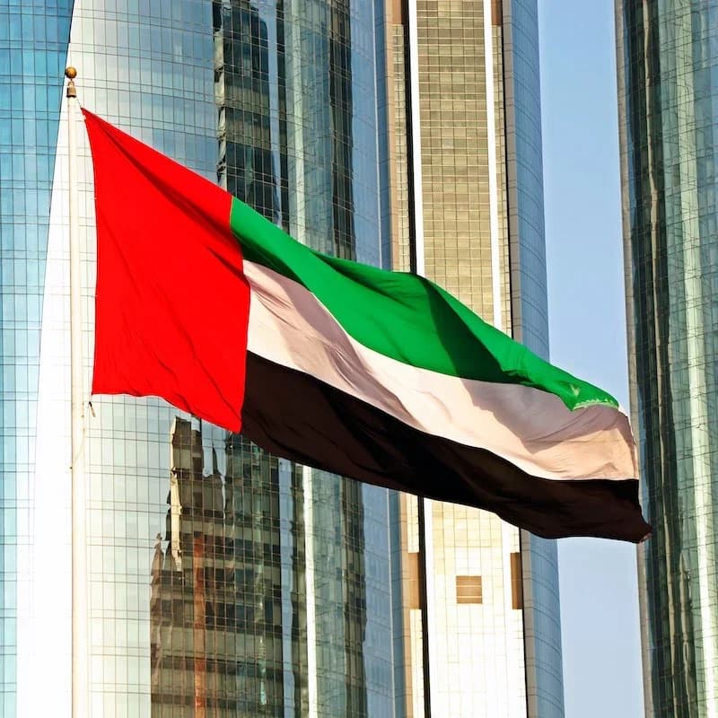 Drapeau des Émirats arabes unis, 90x150cm, en Polyester de haute qualité, suspendu, drapeaux nationa