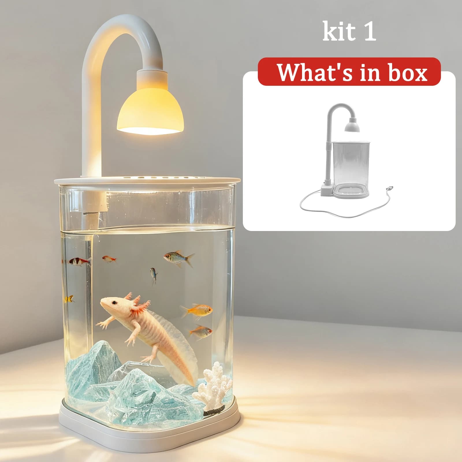 Kit de démarrage petit aquarium Axolotl réservoir de table tortue réservoir de poisson rouge avec lu