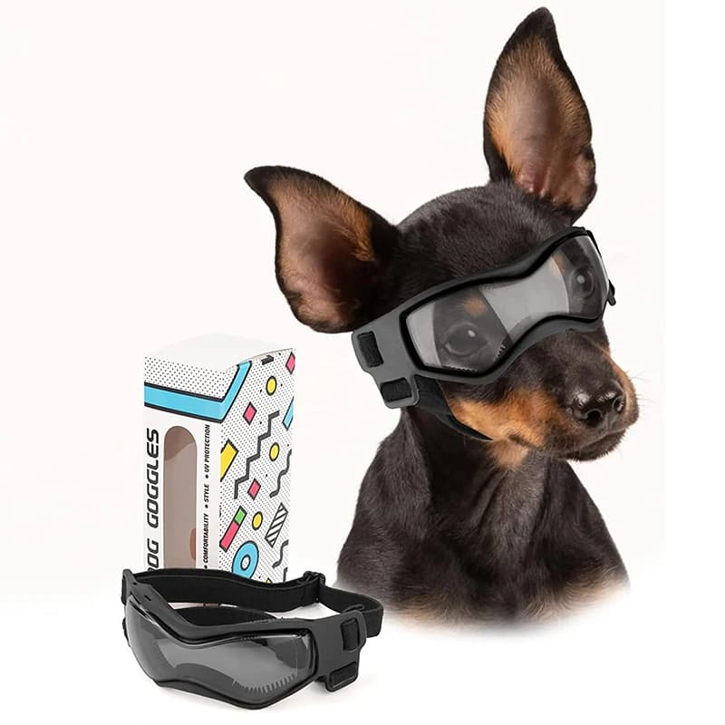 Lunettes de soleil pour chien, Protection UV douce et réglable, lunettes pour animaux de compagnie, 