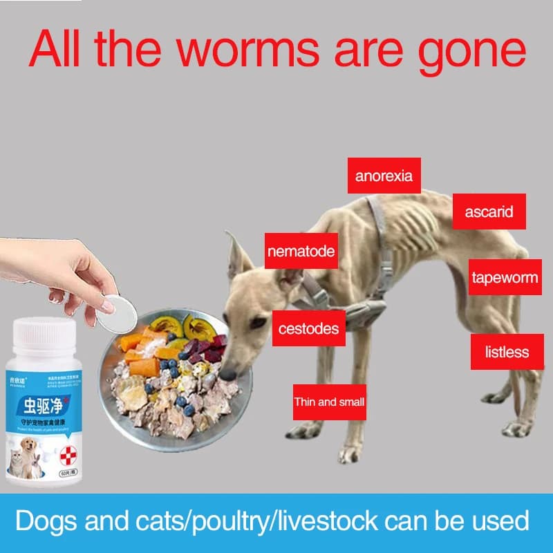 Variété de Parasites pour Animaux de Compagnie, Vermifuges Internes et Externes pour Chiens, Chats, 