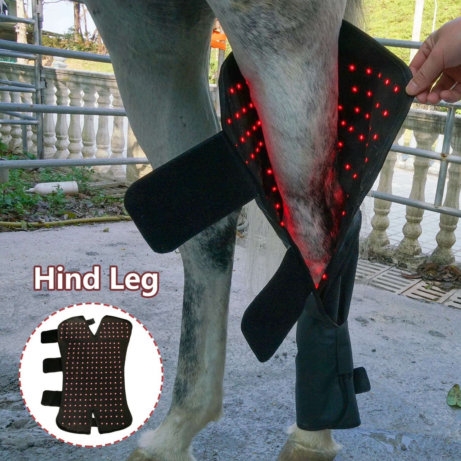 Accessoires équestres professionnels : Manchons de protection pour tendons et bottes hautes pour che