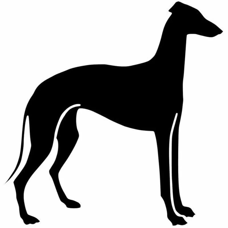 Greyhund – autocollants pour accessoires de voiture