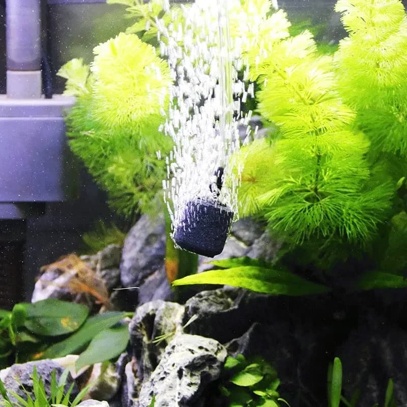 Kit d'accessoires de pompe à air d'aquarium avec aérateur à bulles de pierre à air, clapets anti-retour, ventouses, tube d'air, pour pompe à oxygène d'aquarium