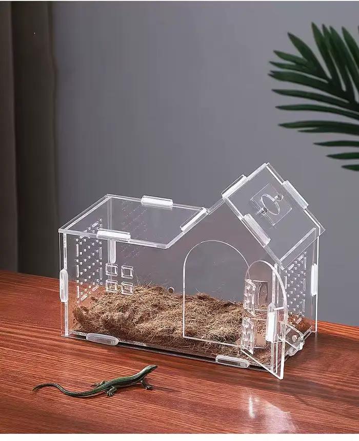Terrarium pour reptiles en acrylique, portable, petit, boîte d'élevage pour reptiles, terrarium pour