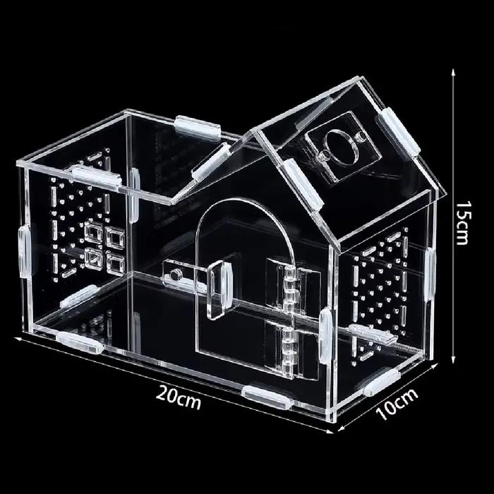 Terrarium pour reptiles en acrylique, portable, petit, boîte d'élevage pour reptiles, terrarium pour araignées, tortues, escargots, cage pour animaux de compagnie