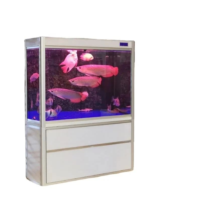 Grand kit d'aquarium en verre, aquarium personnalisable et écologique, éclairage LED intégré et pomp